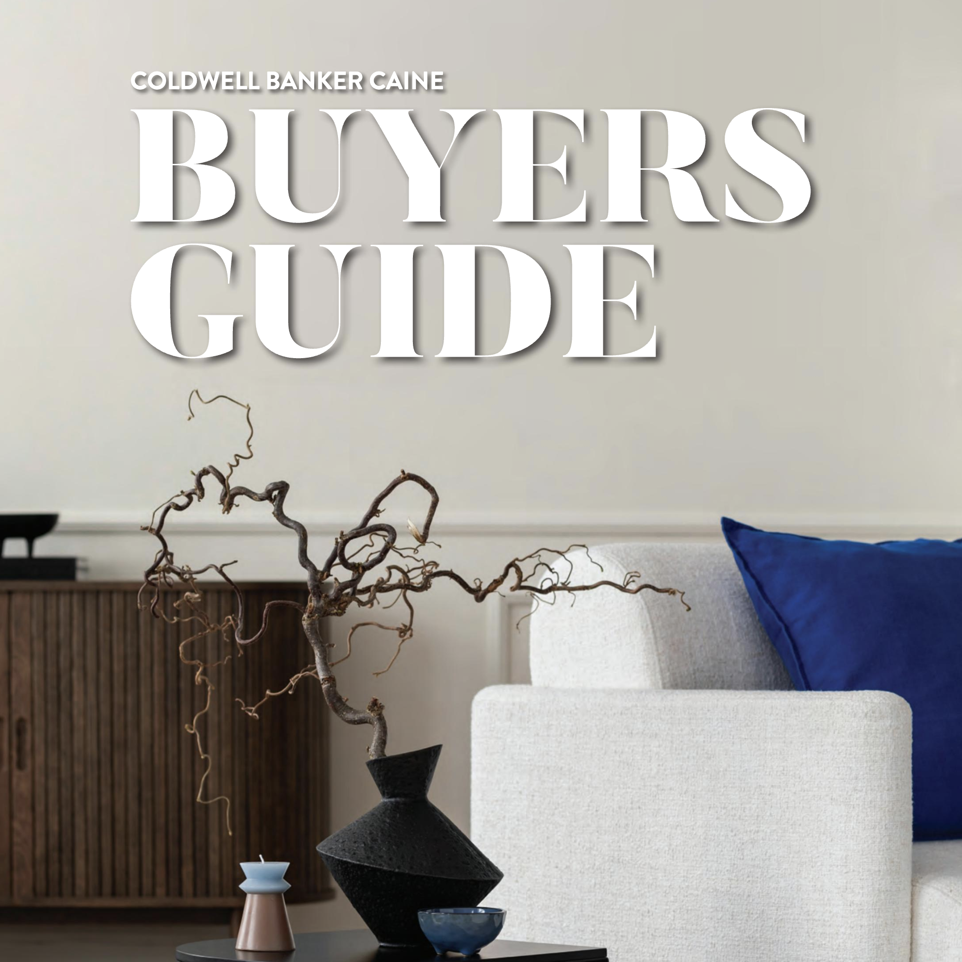 Buyer Guide-sq